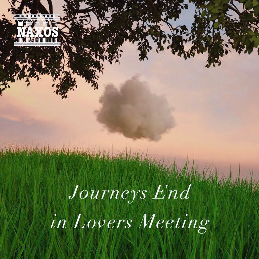 中国女乳奴隶护士
